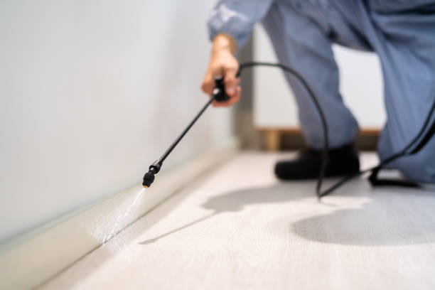 Licensed Cockroach Control service in Bibb County County, GA - Nex Pest Control