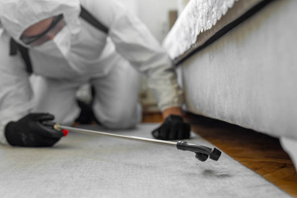 Professional Cockroach Control technician working in Bibb County County, GA